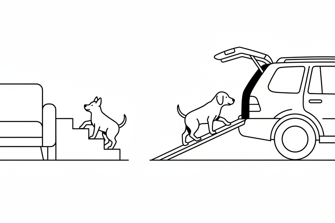 Dog Mobility & Comfort: Stairs, Steps & Ramps for Small Dogs & Seniors