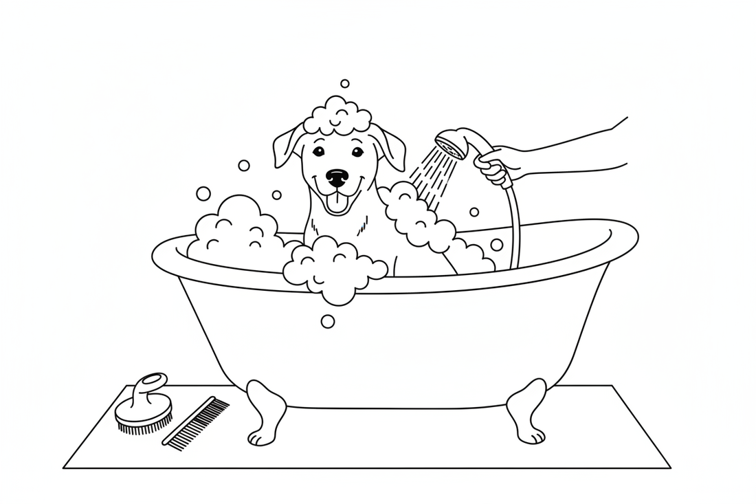 Flea, Tick & Grooming Essentials: Keeping Your Pet Clean & Pest-Free