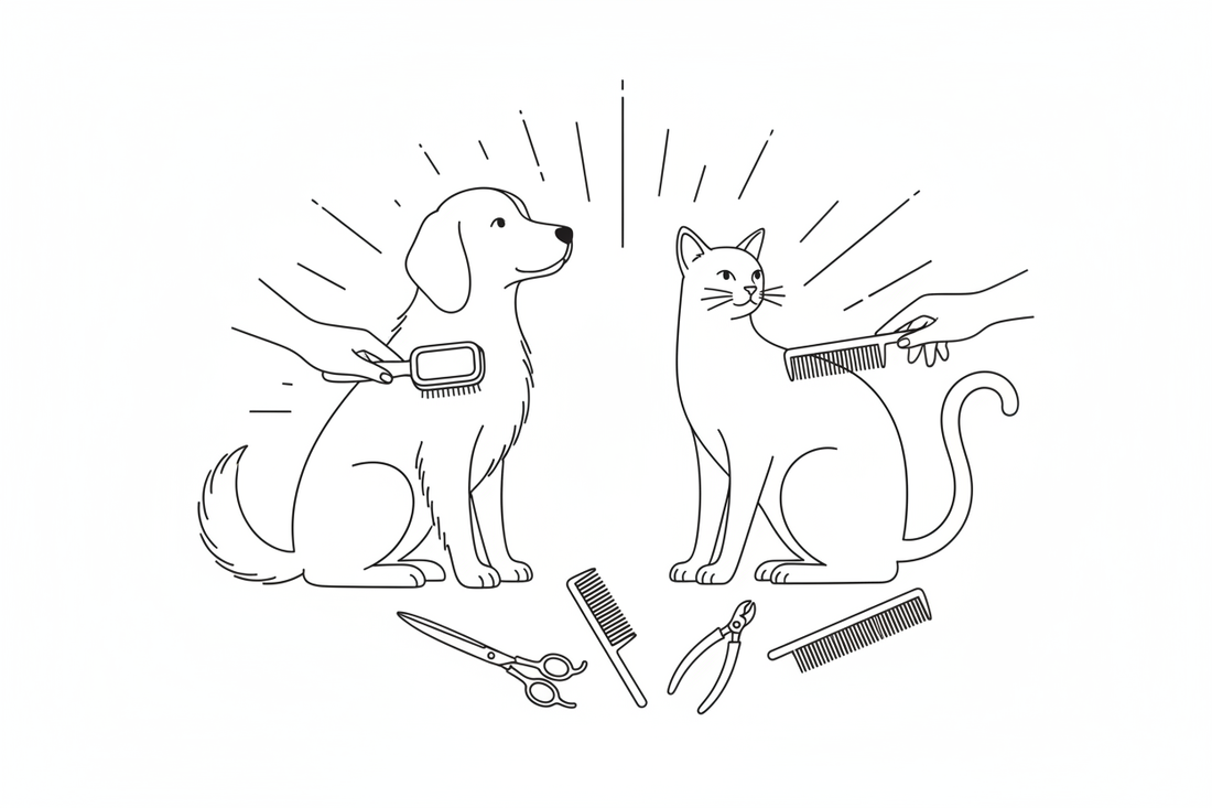 Summer Grooming Essentials for Dogs & Cats: Keep Your Pet Looking & Feeling Great