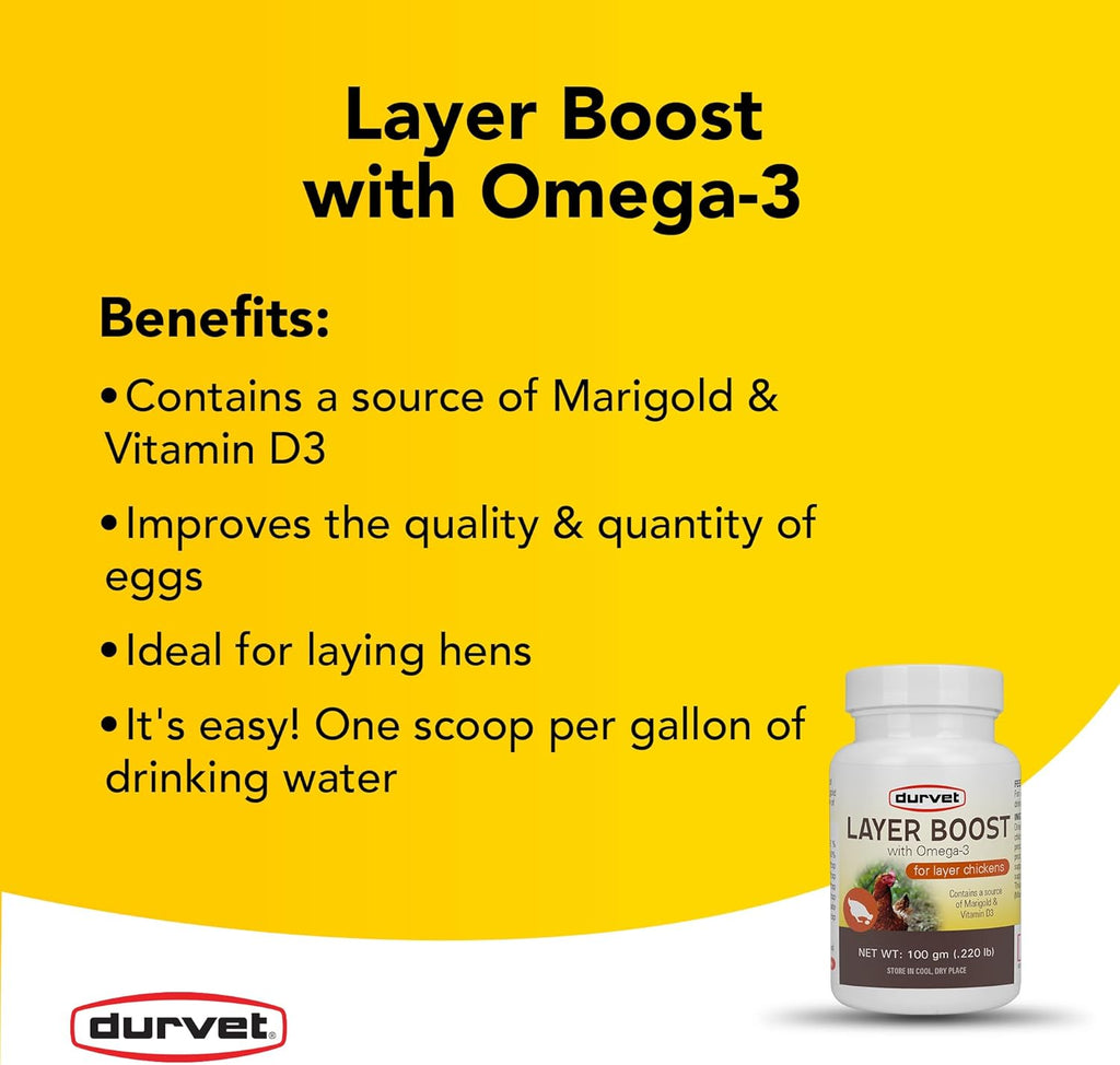 Durvet Layer Boost for Layer Chickens Poultry Vitamin & Electrolyte Supplement 100g