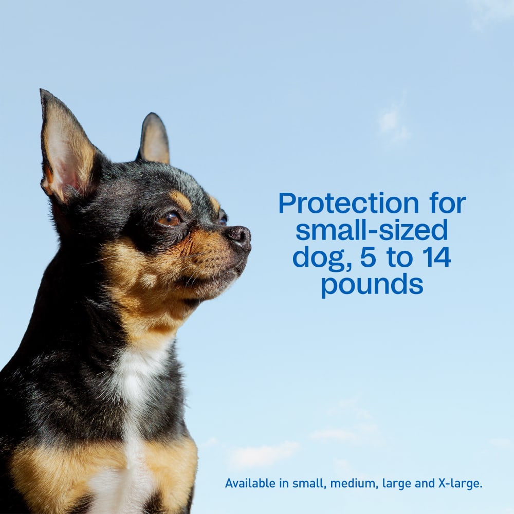 Adams Complete Indoor & Outdoor Flea Treatment System for Small Dogs 5–14 lbs
