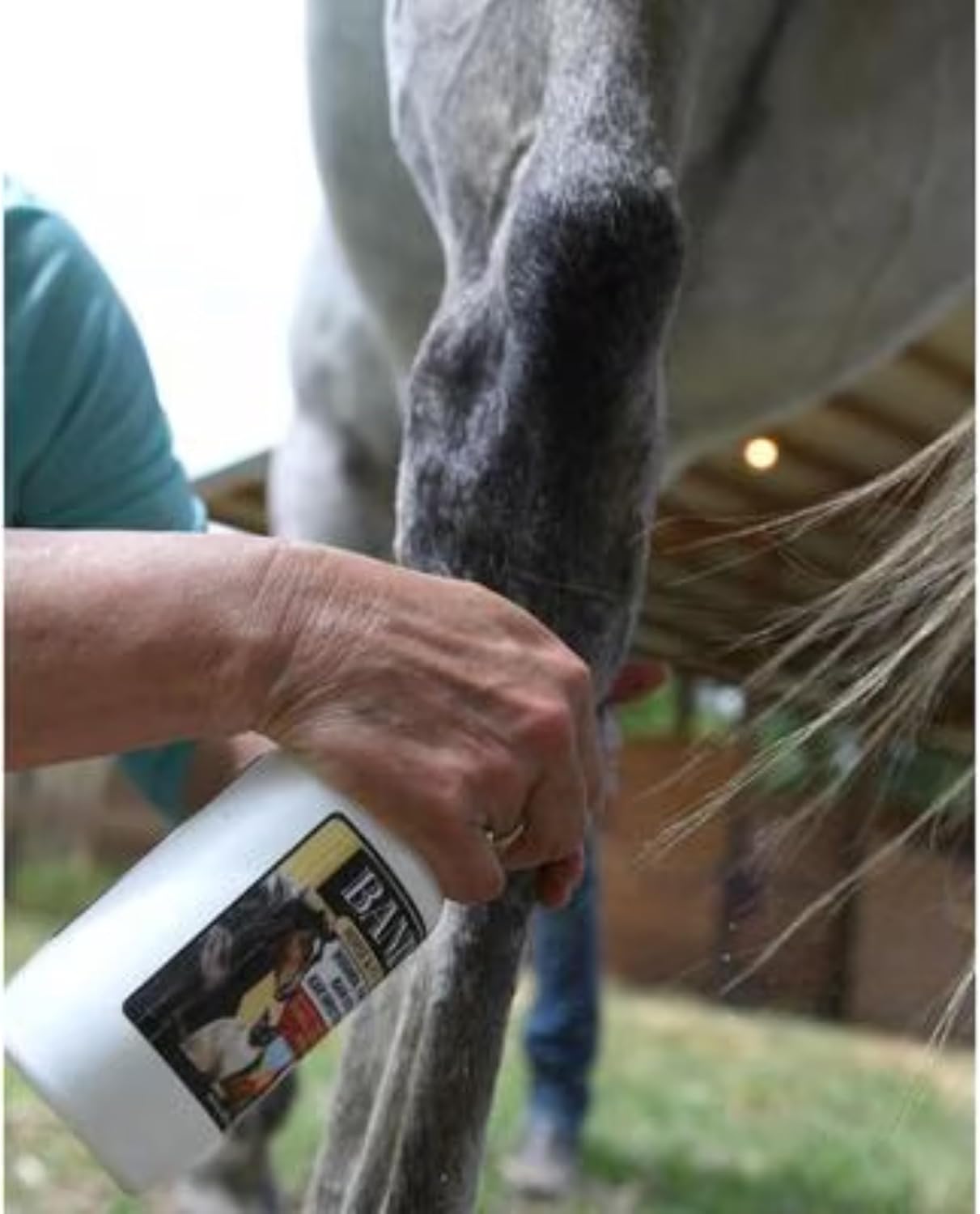 Banixx Shampoo & Spray 16 oz – Horse & Dog Skin & Coat Care Combo – USA Made