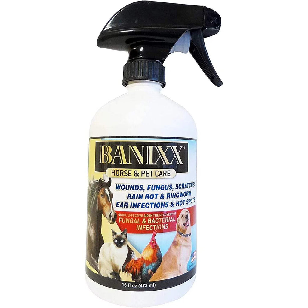 Banixx Shampoo & Spray 16 oz – Horse & Dog Skin & Coat Care Combo – USA Made