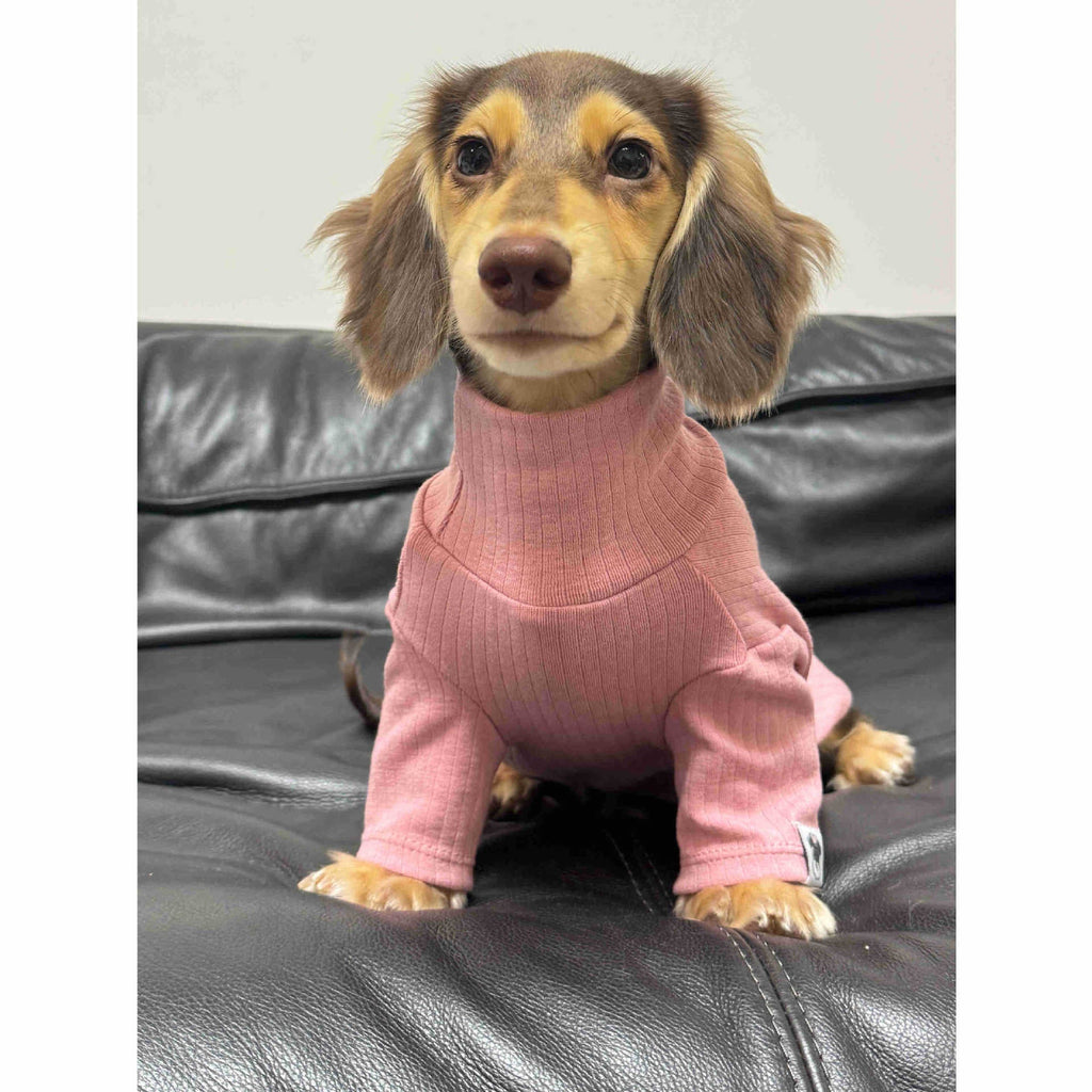 Pet Clothing Autumnwinter High-neck Base Vest