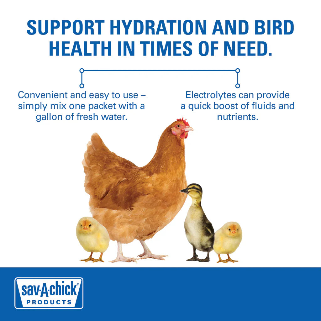 Sav-A-Chick Poultry Vitamins & Electrolytes 20 Pack Bird Supplement