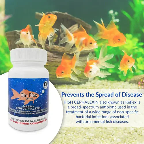Fish Ceph 250mg Capsules for Aquarium Fish – 100 Count – Water Care Support