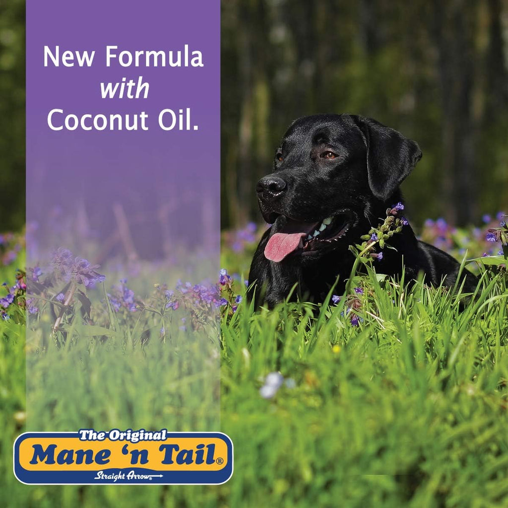 Mane 'n Tail Ultimate Gloss Horse Shampoo Gentle Formula 32 oz.