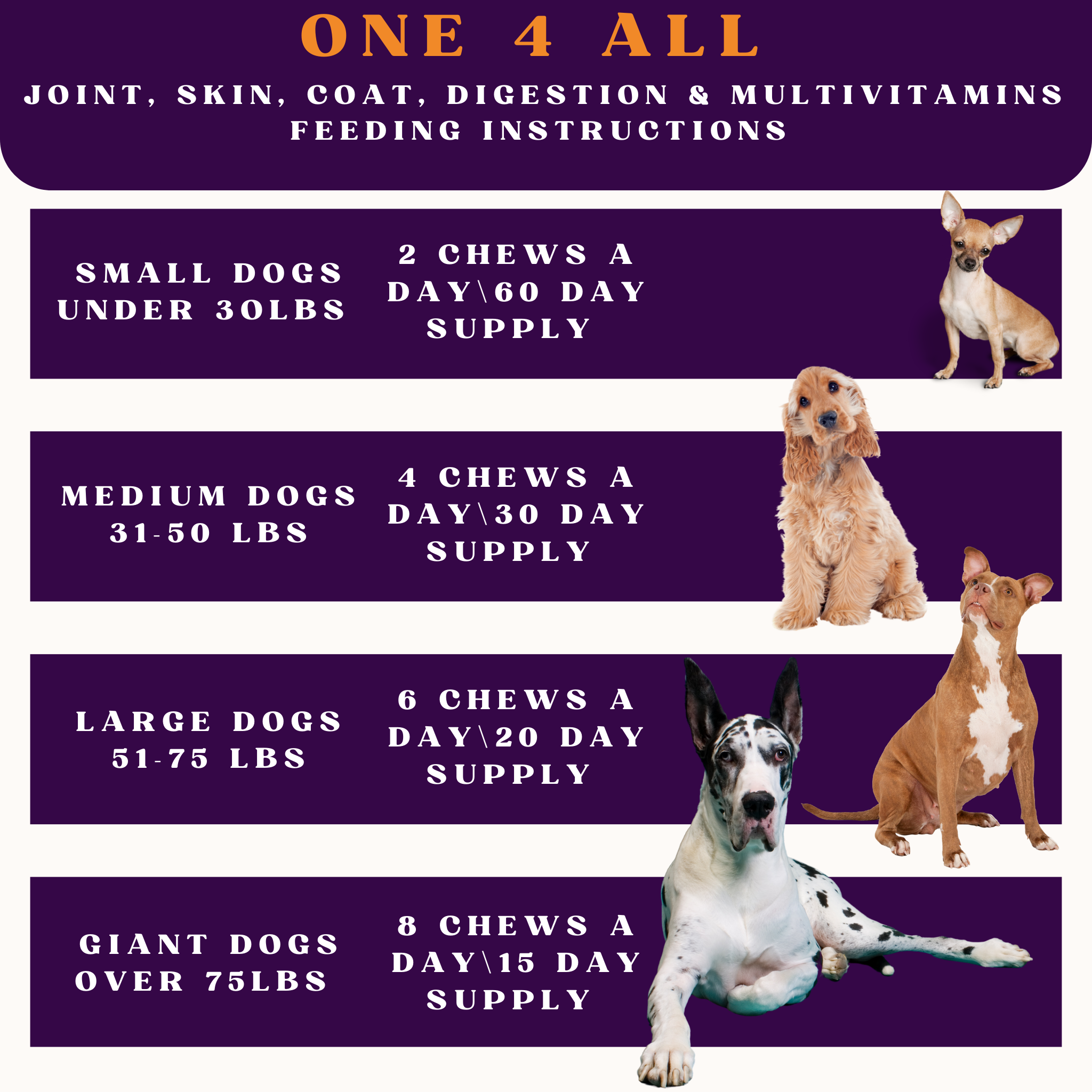 PiccardNaturePets One 4 All Dog Supplement Soft Chews 60 Count USA