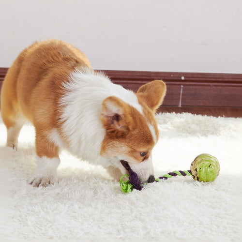 Ball Knot Dog Toys, Interactive Puppy Toys For Tug-of-war, Eco-friendly Cotton Rope Toys, Medium And Small-sized Dog Breeds, Not Suitable For Dogs With Strong Aggressive Chewing