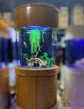 90 Gallon Glass 3/4 Cylinder Round Aquarium With Stand and Canopy in Golden Oak