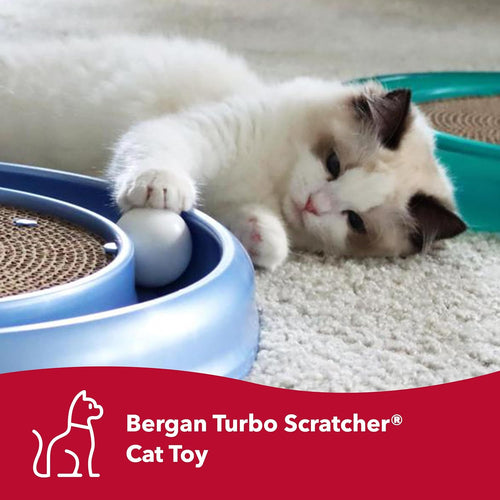 Bergan Turbo Scratcher Cat Toy 16" Interactive Track Ball Scratcher with Catnip