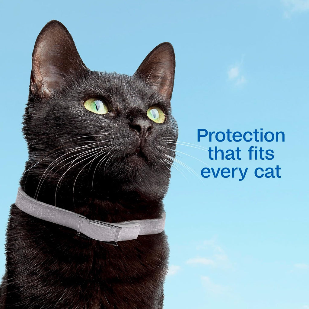 Adams Plus Flea & Tick Collar for Cats Water-Resistant Up to 7 Months Protection