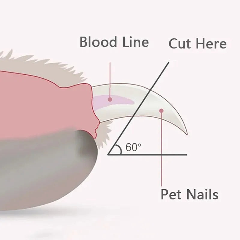 Donuts Lovely Pet Nail Clippers Cat Nail Clippers Dog Nail Knife LED Light Illuminates Blood Line Safe Nail Clippers