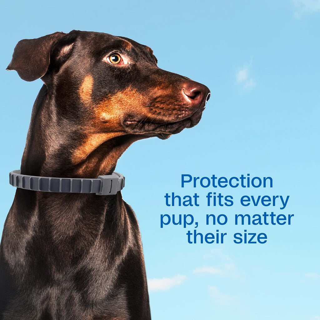 Adams Flea & Tick Collar for Dogs & Puppies Flea Collar Protection 4 Count