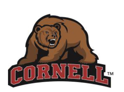 NCAA Cornell University, Big Red Bear Knottie® Plush Dog Toy
