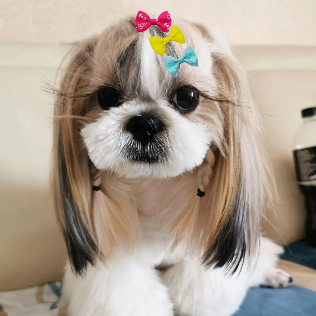 Dog Hair Bows Clips 40PCS Colorful Ribbon Accessories Small Dogs Grooming