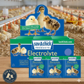 Sav-A-Chick Poultry Vitamins & Electrolytes 20 Pack Bird Supplement