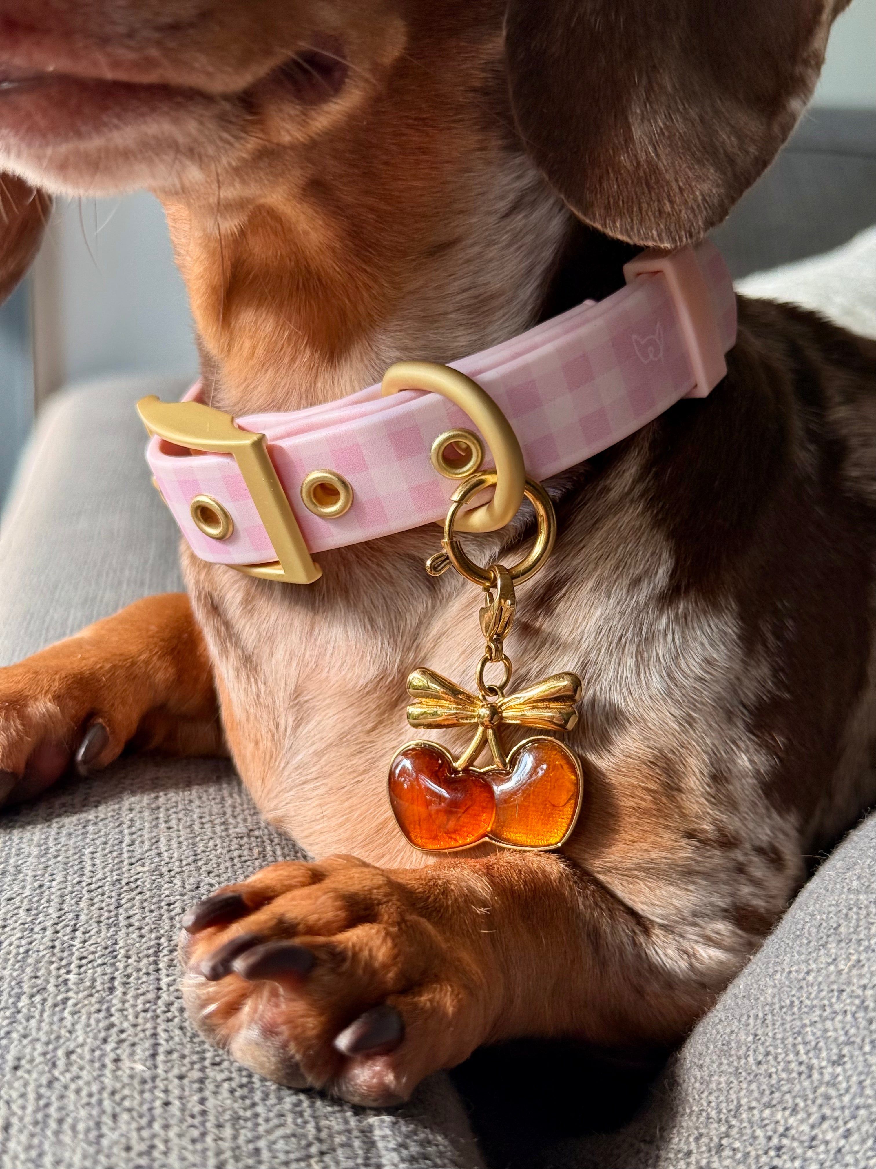 Wander! Collar 2.0 - Blossom Gingham