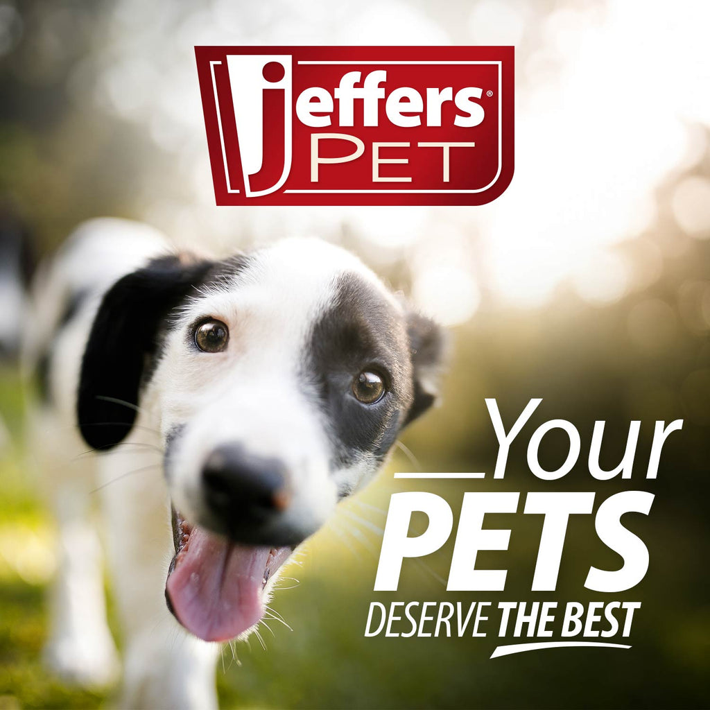 Jeffers Hollow Red Knobby Ball Natural Rubber Dental Treat Dispensing Dog Chew Toy