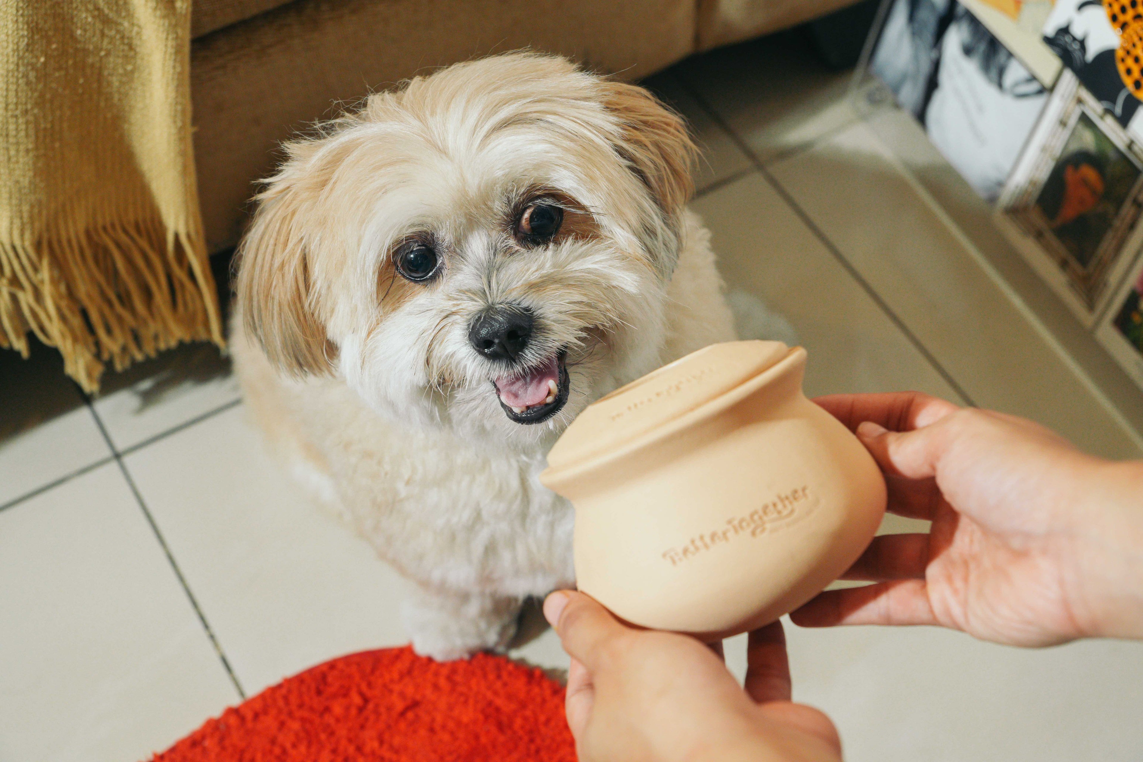 Palayok Treat Dispensing Toy