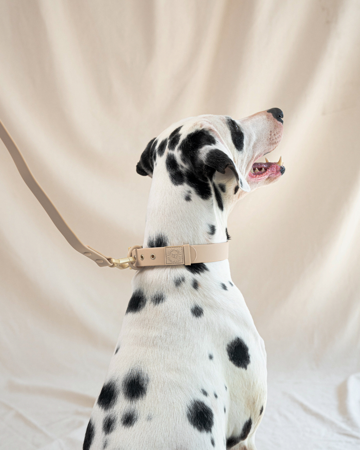 Wander! Waterproof Collar - Latte