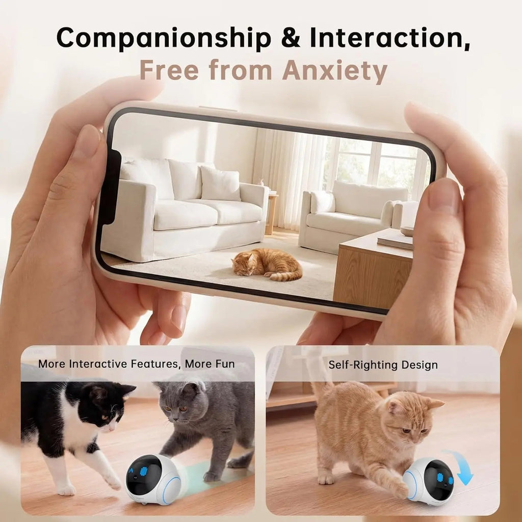 Movable Pet Camera Robot 1080P Two Way Audio Night Vision Auto Recharge