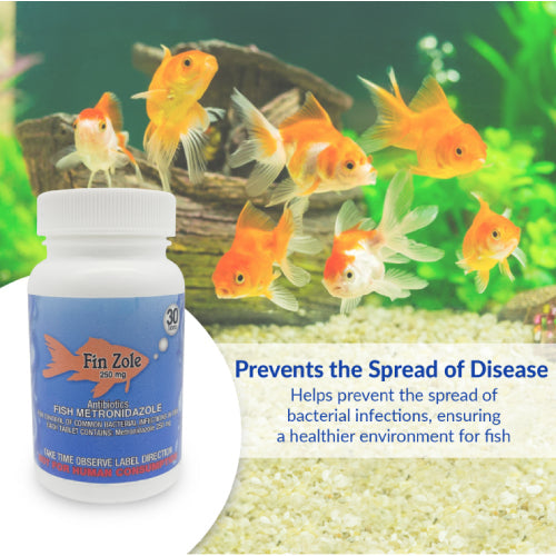 Fish Zole 250mg Capsules for Aquarium Fish – 30 Count – Water Care Support