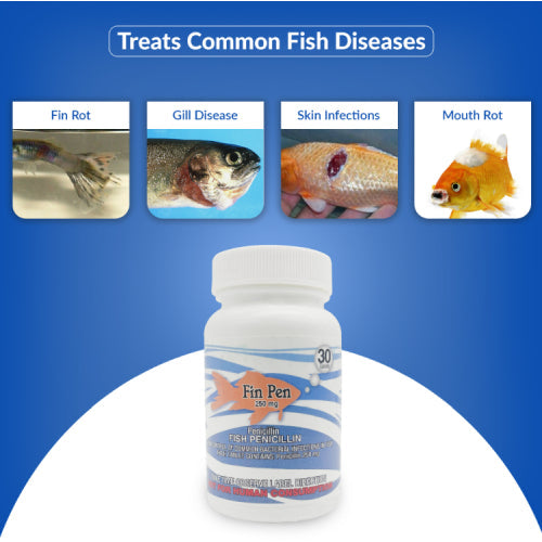 Fin Pen 250mg Capsules for Aquarium Fish – 30 Count – Water Care Support