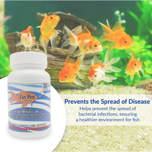 Fin Pen 250mg Capsules for Aquarium Fish – 30 Count – Water Care Support