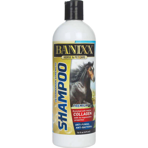 Banixx Shampoo & Spray 16 oz – Horse & Dog Skin & Coat Care Combo – USA Made
