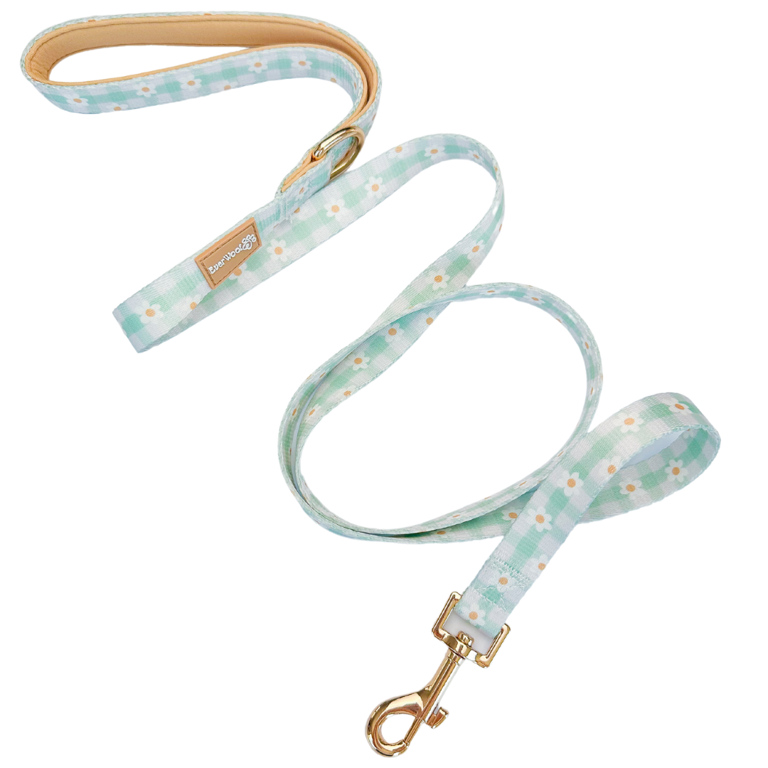 Oopsie Daisy! Leash