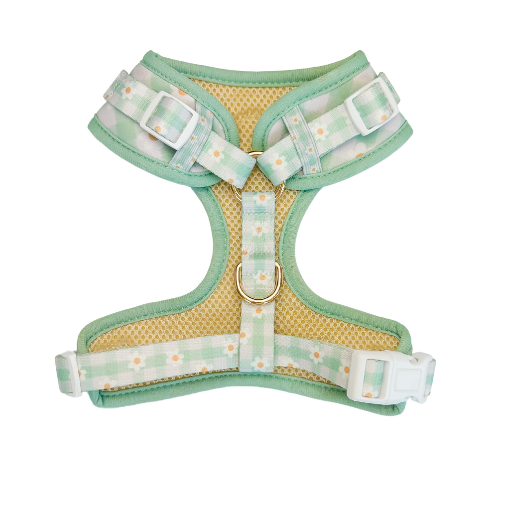 Oopsie Daisy! Adjustable Harness