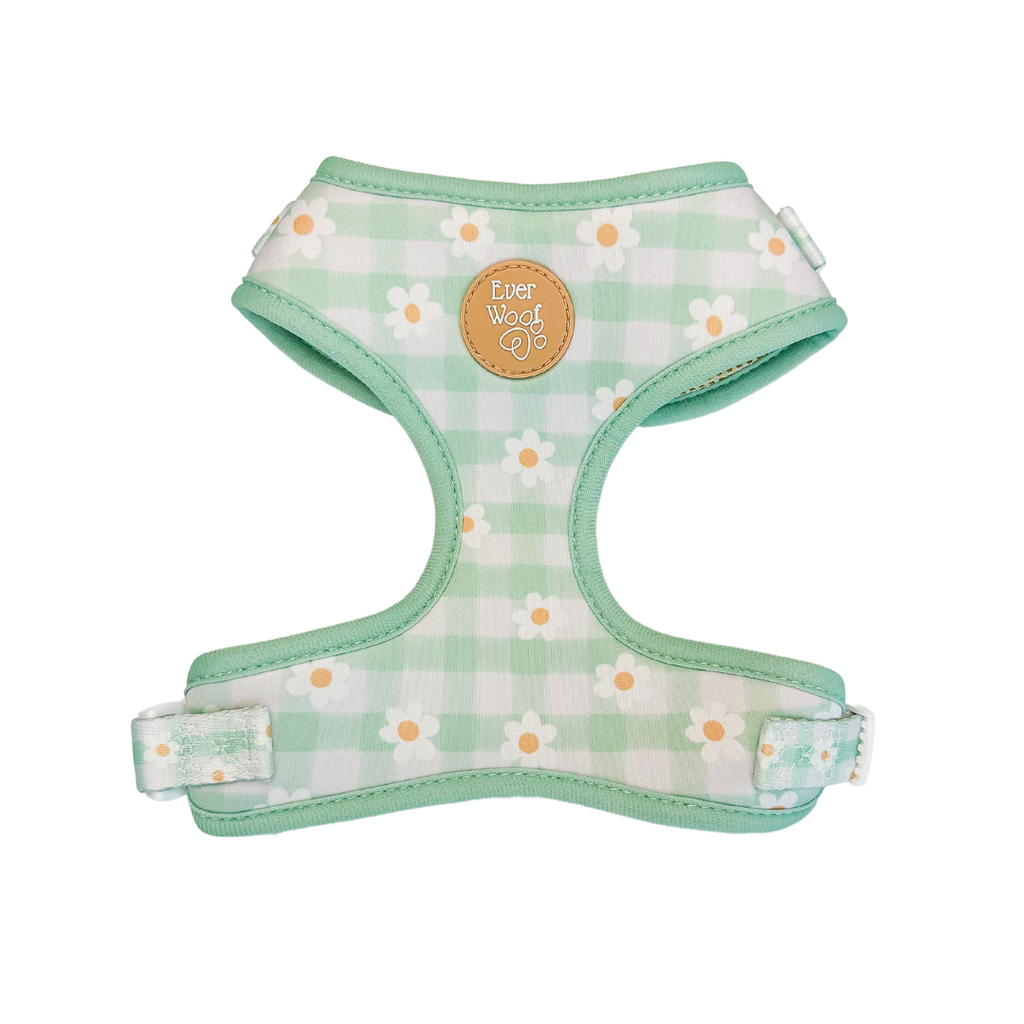 Oopsie Daisy! Adjustable Harness