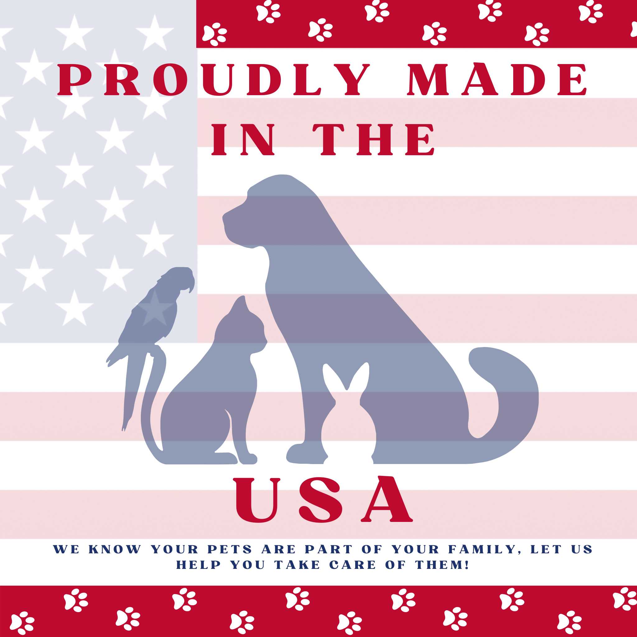 Piccardmeds4pets Keto-Itch Plus 2% Chlorhexidine + Keto 1% Medicated Spray 8 oz. + FREE Bandana!