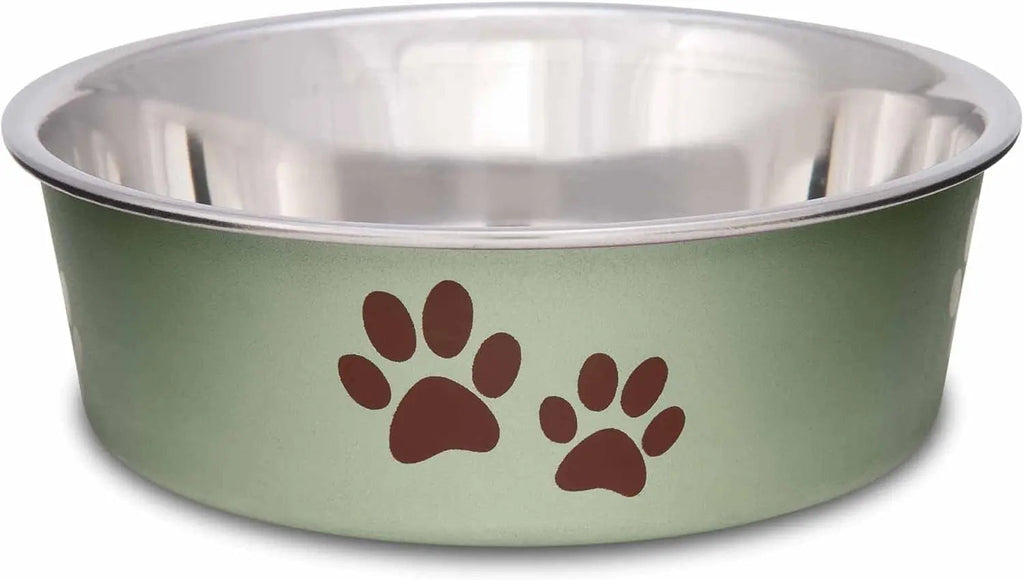 Stainless Steel Dog & Cat Bowl | Spill-Resistant Feeding Bowl (various colors)