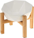 Tilted Elevated Ceramic Pet Bowl with Bamboo Stand | Modern Feeding Dish