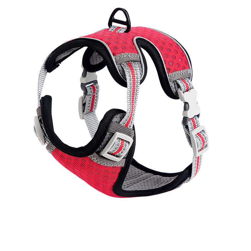 Going Out For A Cat Walk, Pet Cat Chest Strap