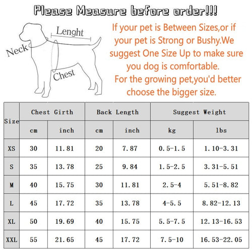 Autumn And Winter Dog Clothes, Color-blocking Hooded Cartoon Thin Sweatshirts, Small And Medium-sized Dog Teddy Vs. Panda Pet Clothing