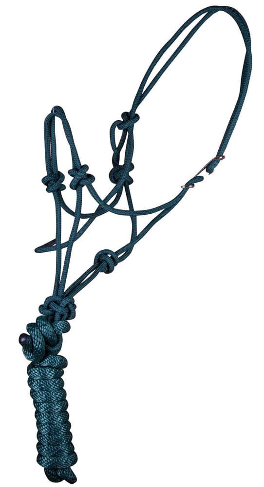 Jeffers Easy-On Clip Nylon Rope Horse Halter with Lead