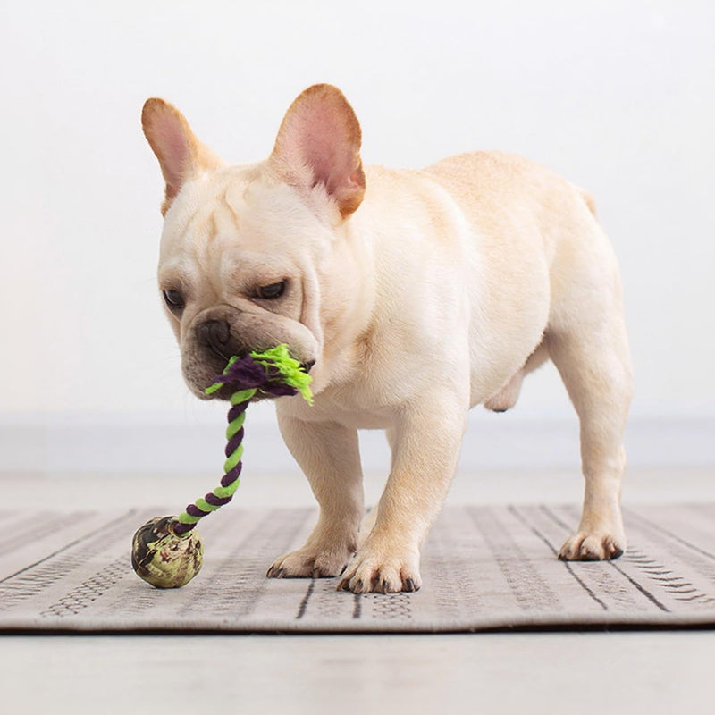 Ball Knot Dog Toys, Interactive Puppy Toys For Tug-of-war, Eco-friendly Cotton Rope Toys, Medium And Small-sized Dog Breeds, Not Suitable For Dogs With Strong Aggressive Chewing