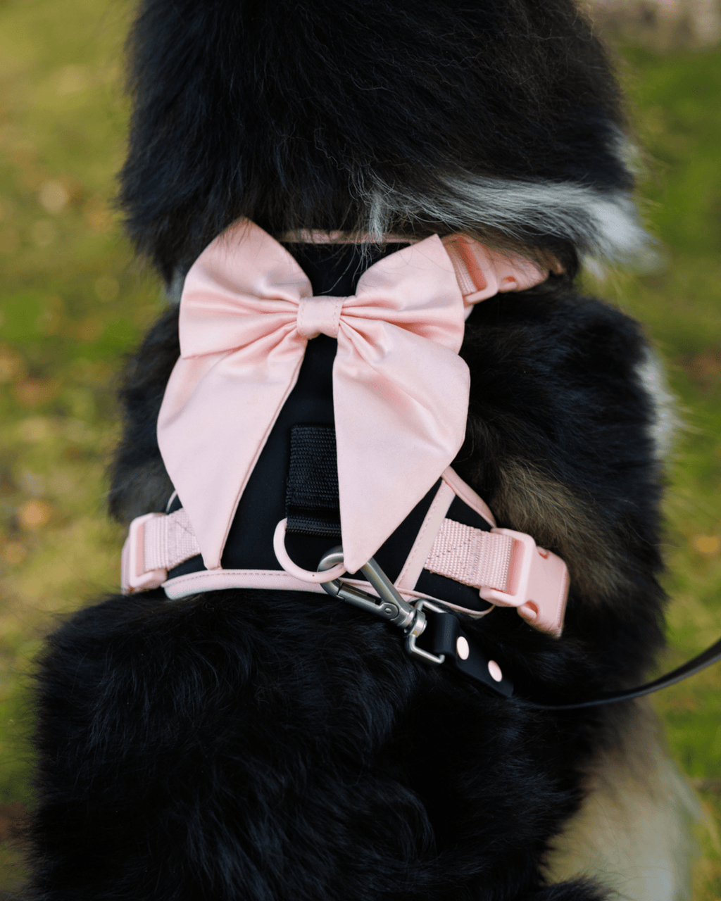 Wander! Bow Harness Ballerina