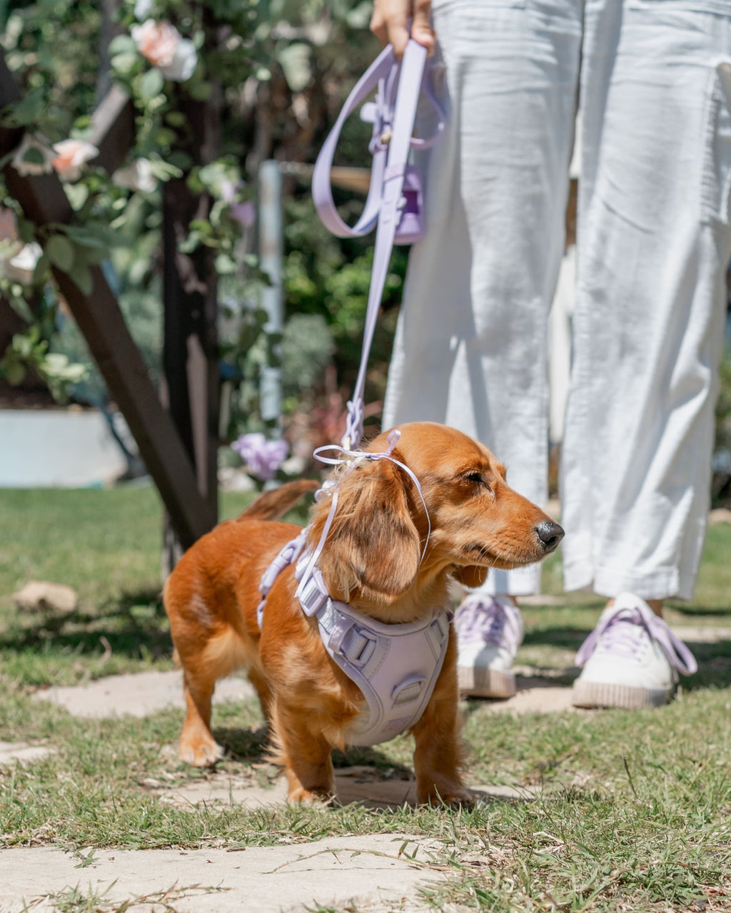 Wander! Poop Bag Pouch - Lilac