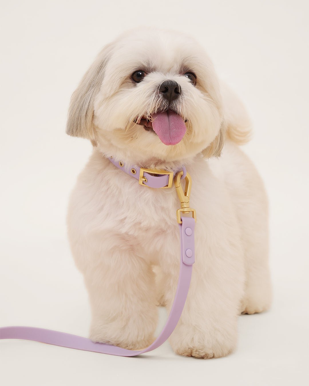 Wander! Waterproof Collar - Lilac