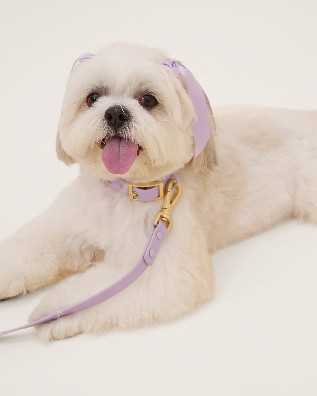 Wander! Waterproof Collar - Lilac