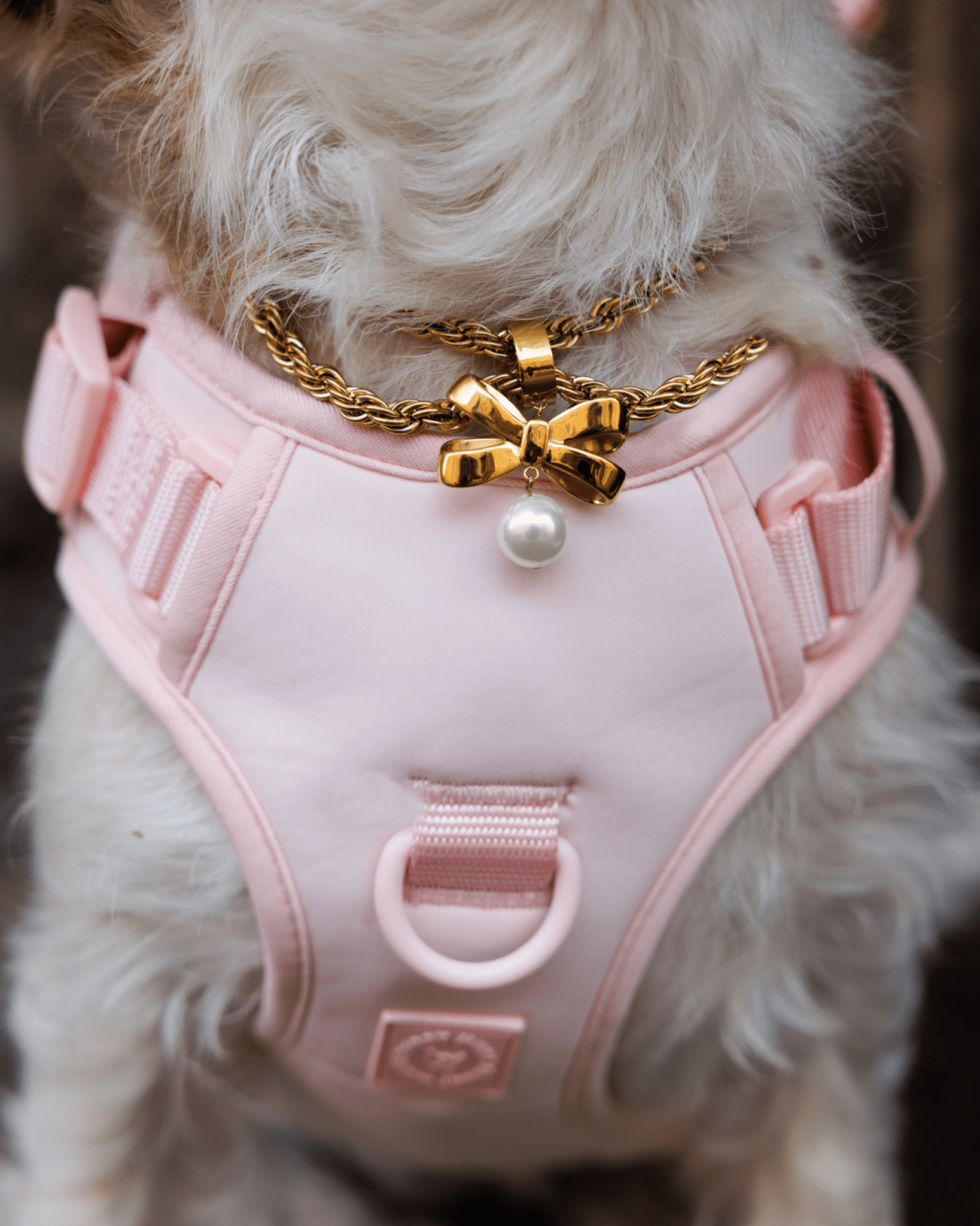 Wander! Bow Harness Blossom