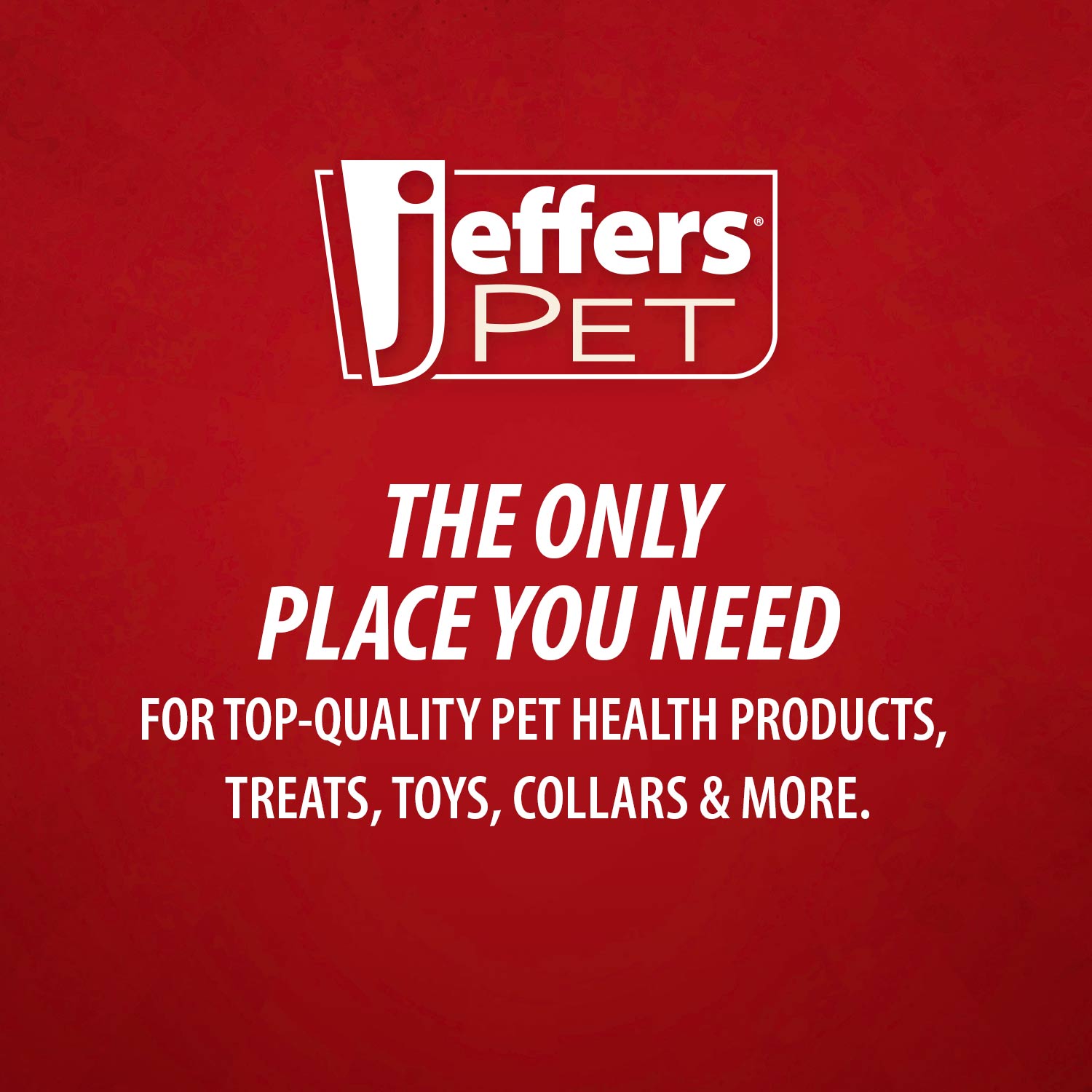 Jeffers Red Dental Bone Natural Rubber Dog Chew Toy for Healthy Teeth and Gums