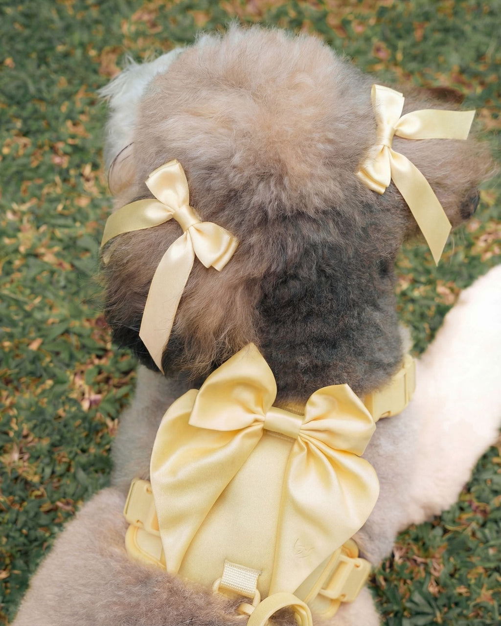Satin Harness Bow - Buttercream