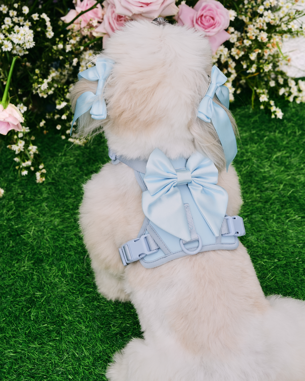 Satin Harness Bow - Sky
