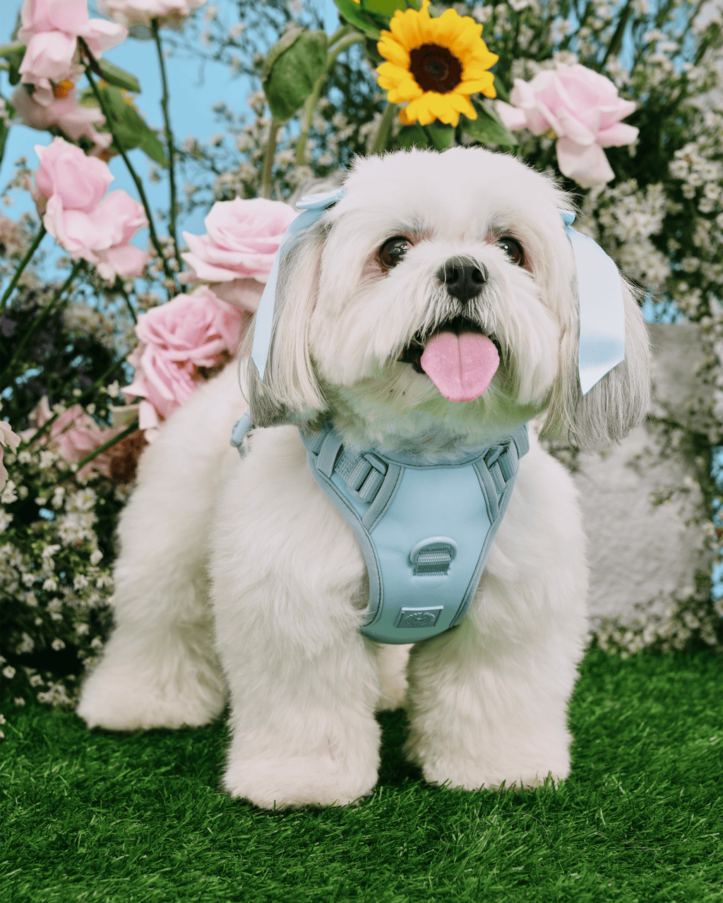 Wander! Bow Harness Sky
