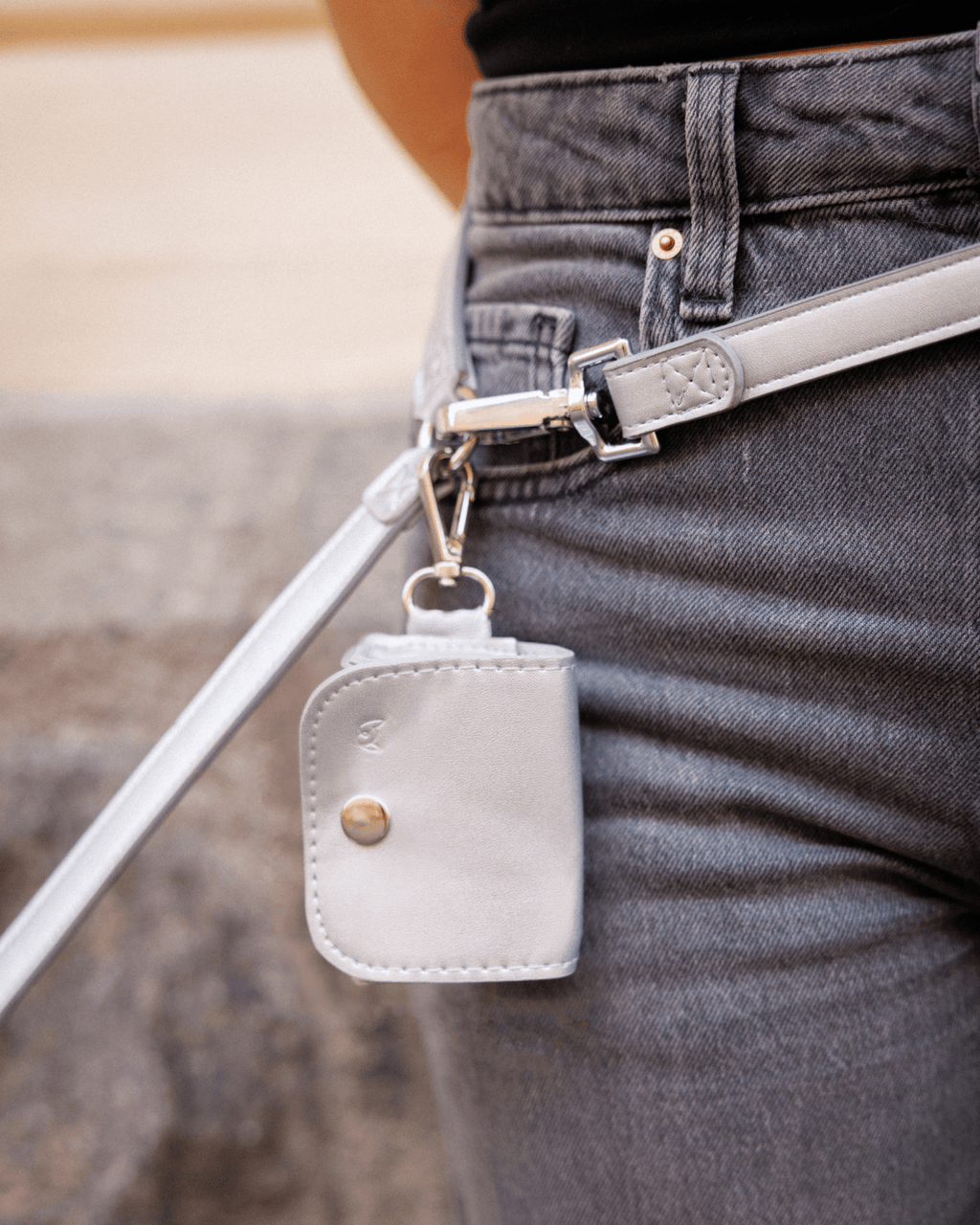 Shine Multiway Metallic Leather Leash & Poop Bag Pouch